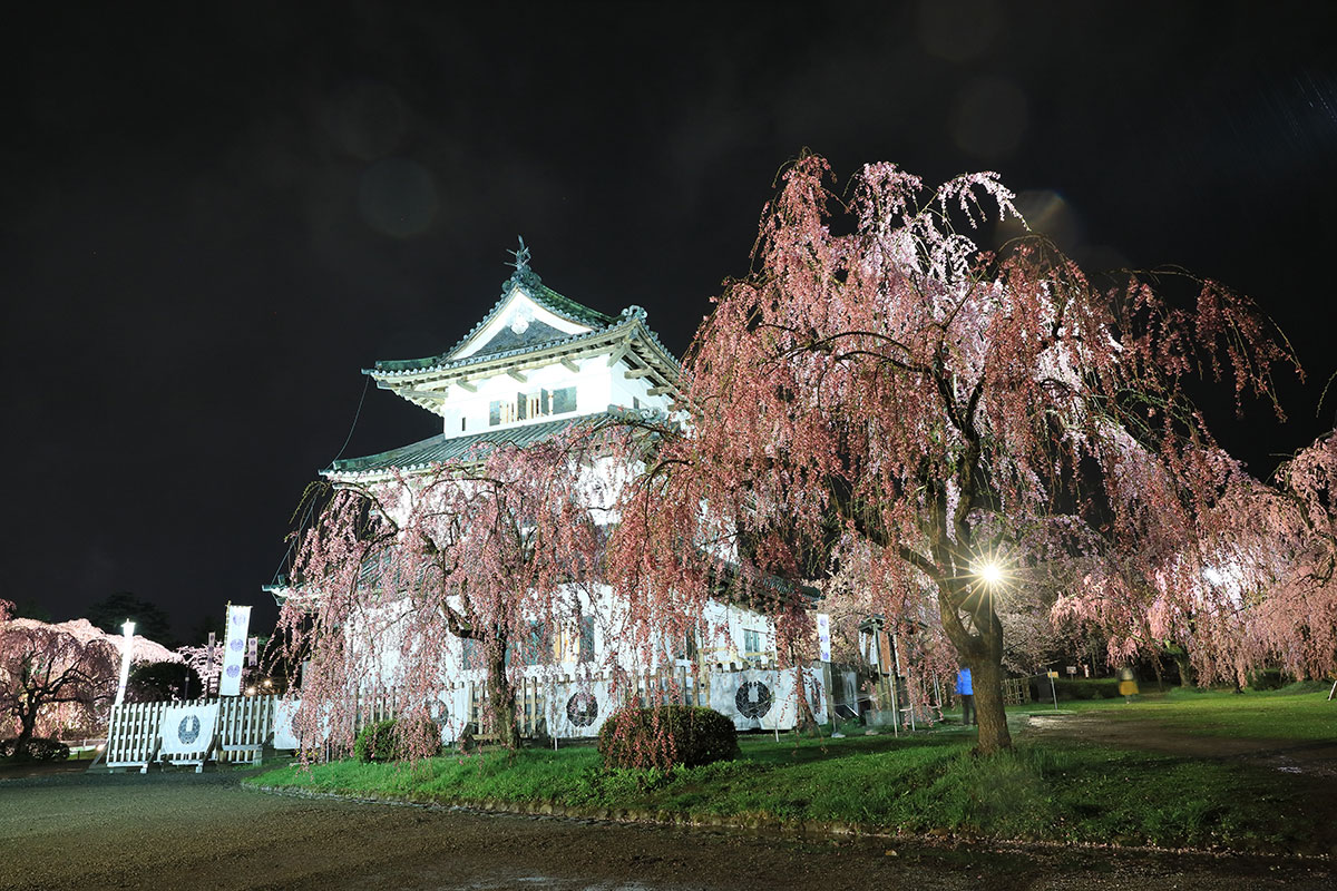 弘前城の桜 東北撮り旅